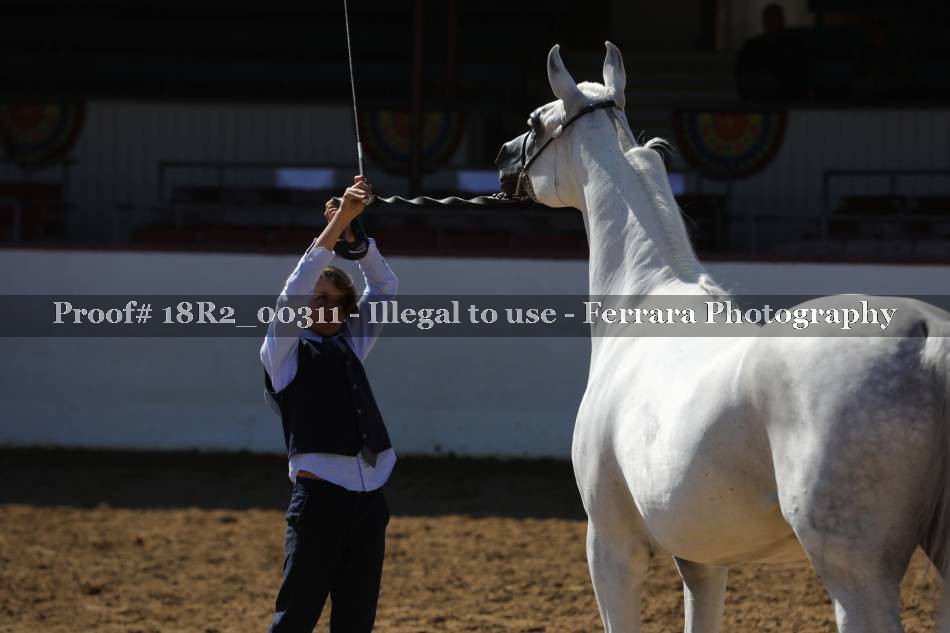 Proof 18R2_00311