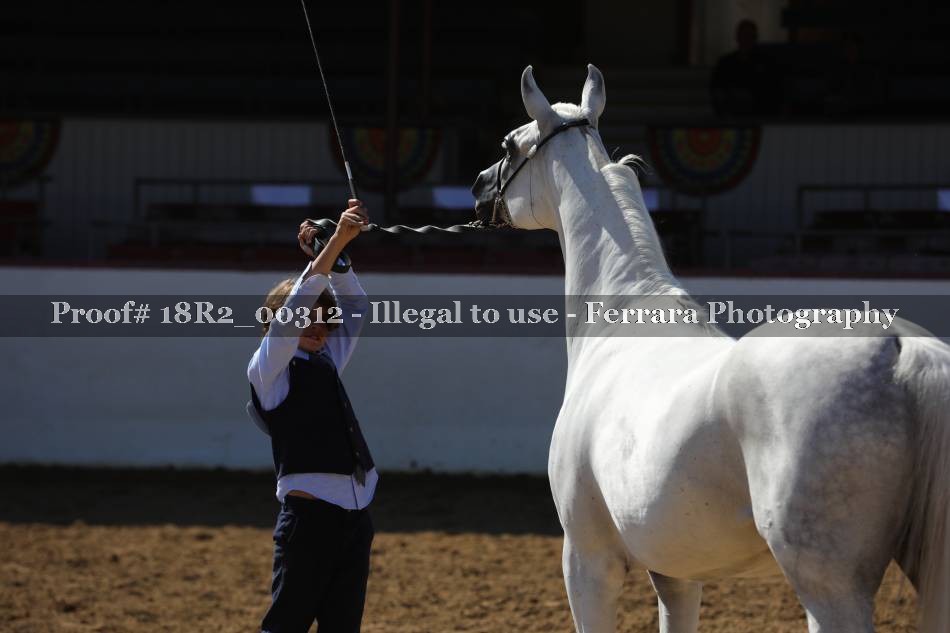 Proof 18R2_00312