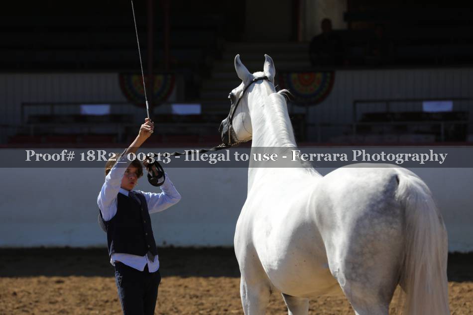 Proof 18R2_00313