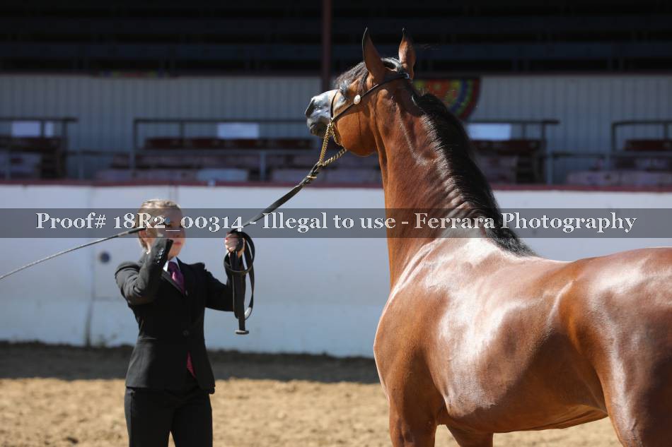 Proof 18R2_00314