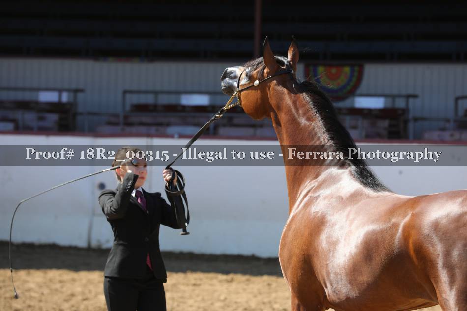 Proof 18R2_00315