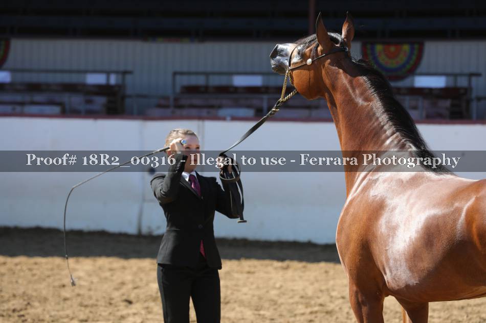 Proof 18R2_00316