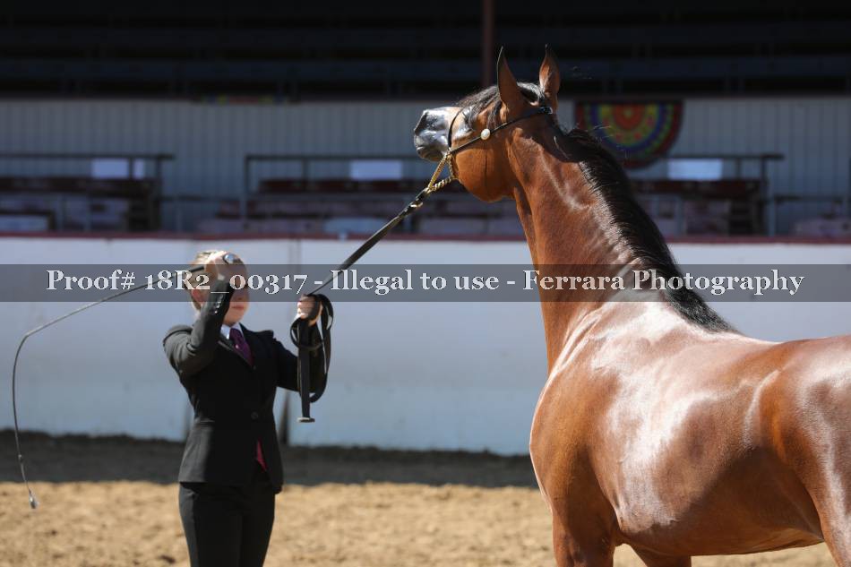 Proof 18R2_00317