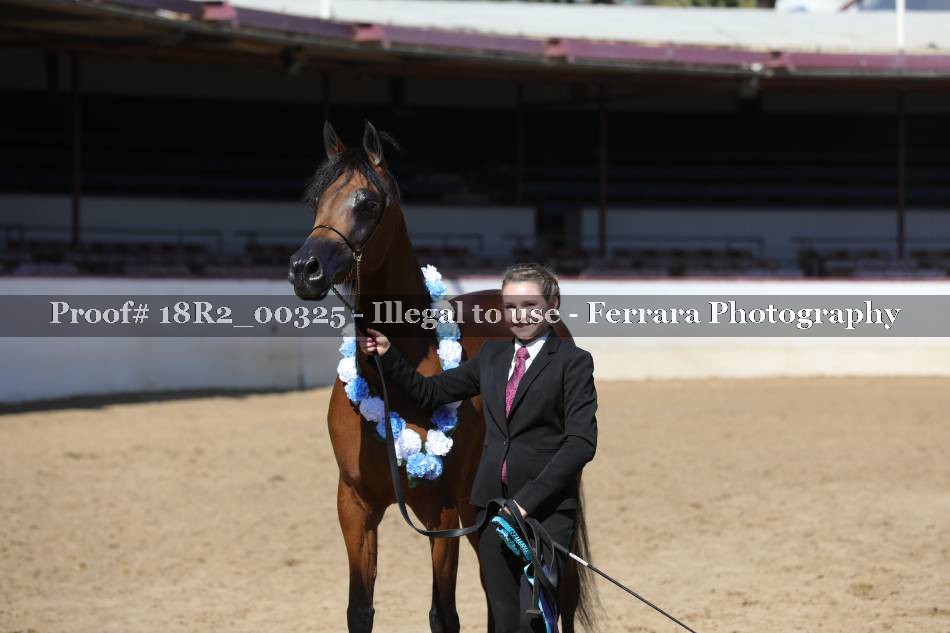 Proof 18R2_00325