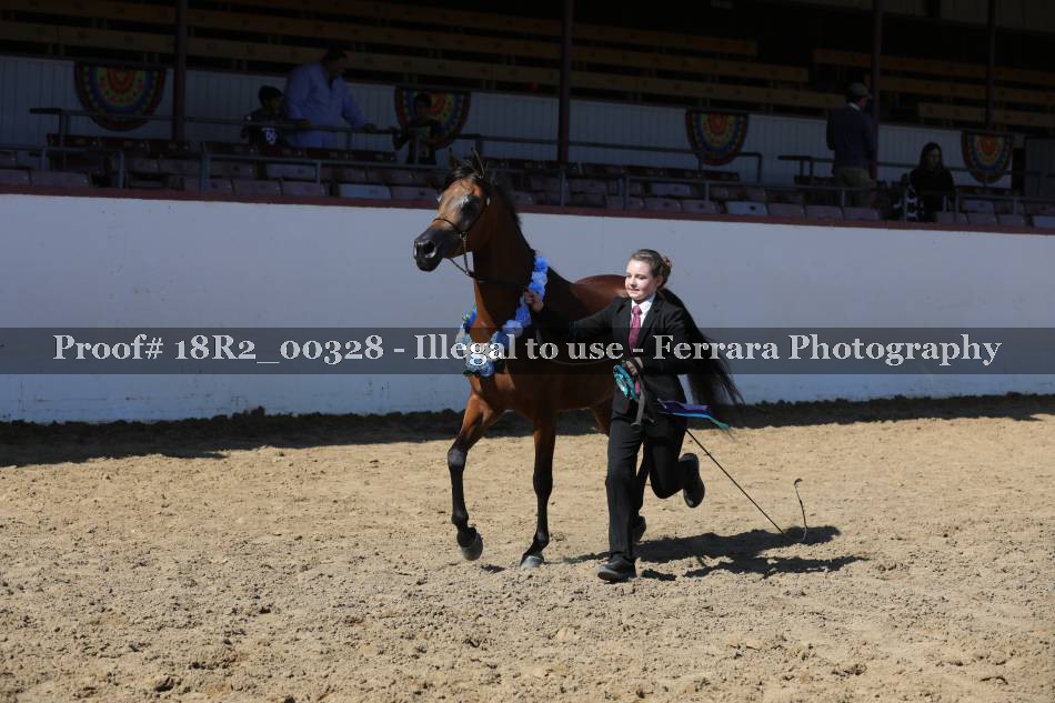 Proof 18R2_00328