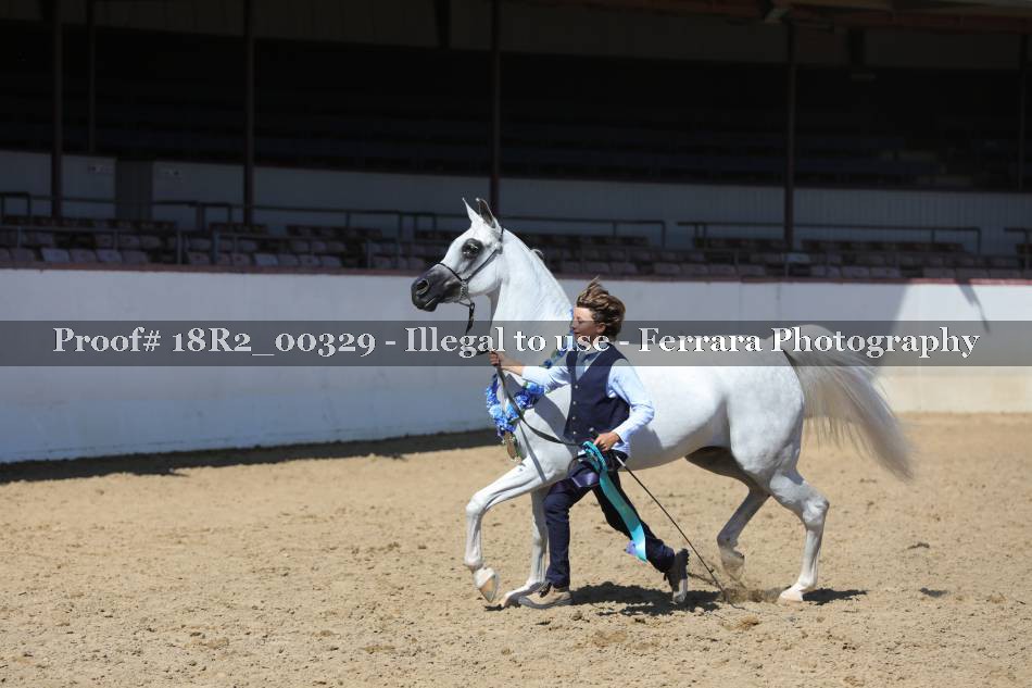 Proof 18R2_00329