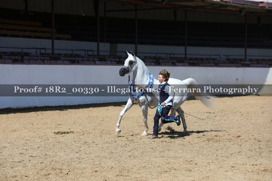 Proof 18R2_00330