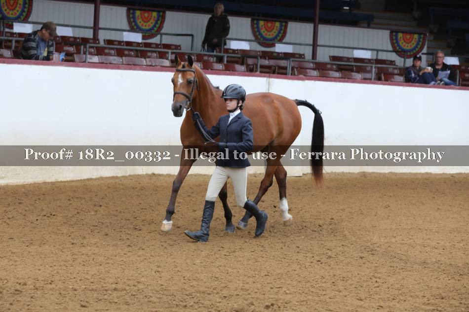 Proof 18R2_00332