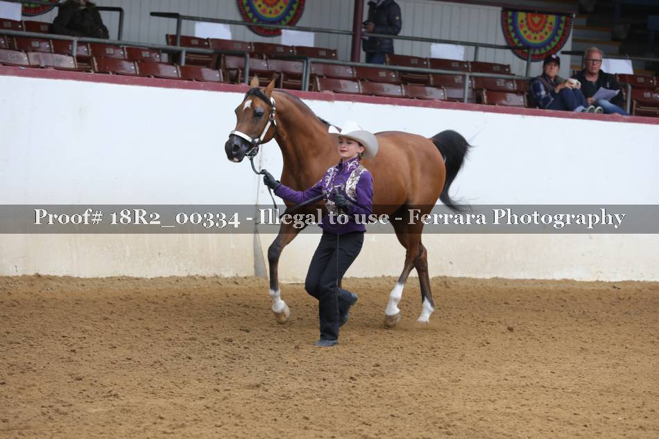 Proof 18R2_00334