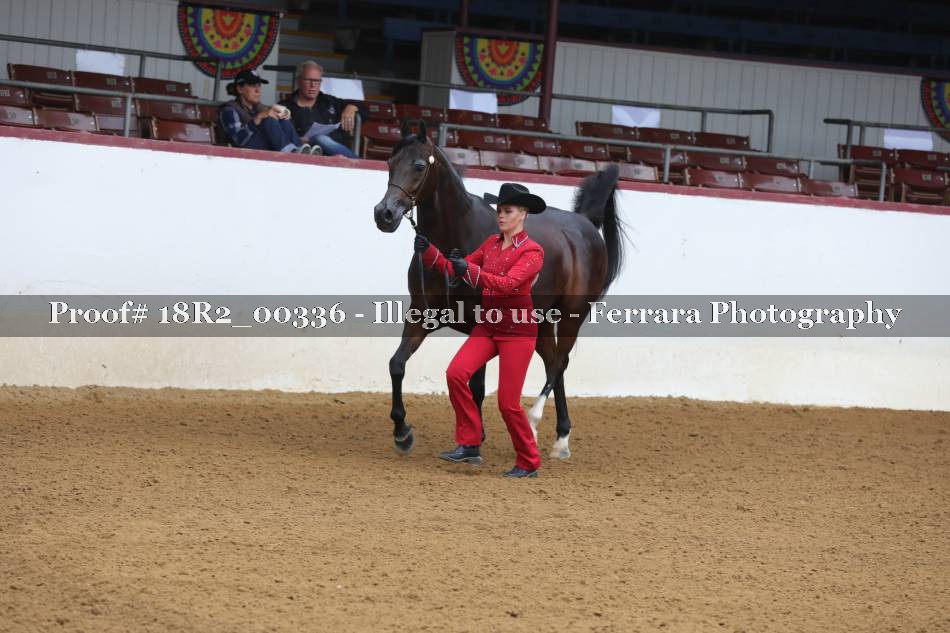 Proof 18R2_00336