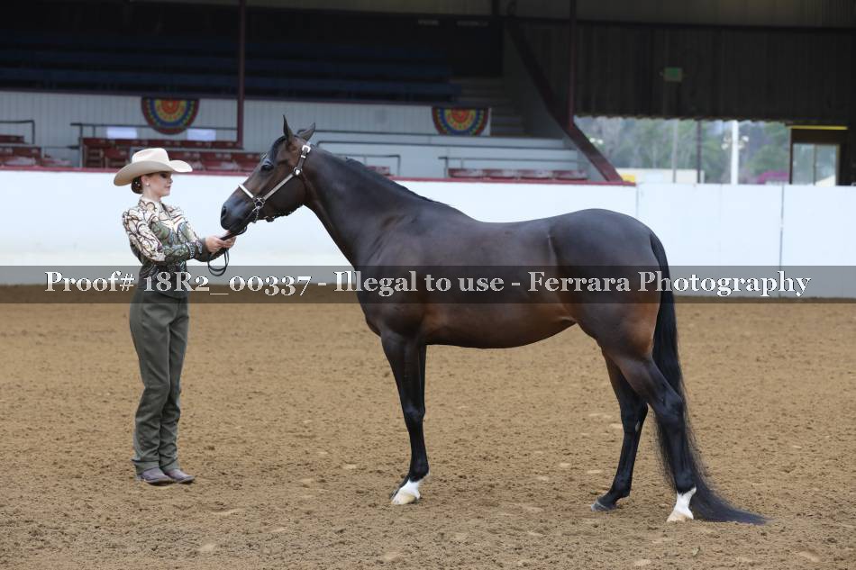 Proof 18R2_00337