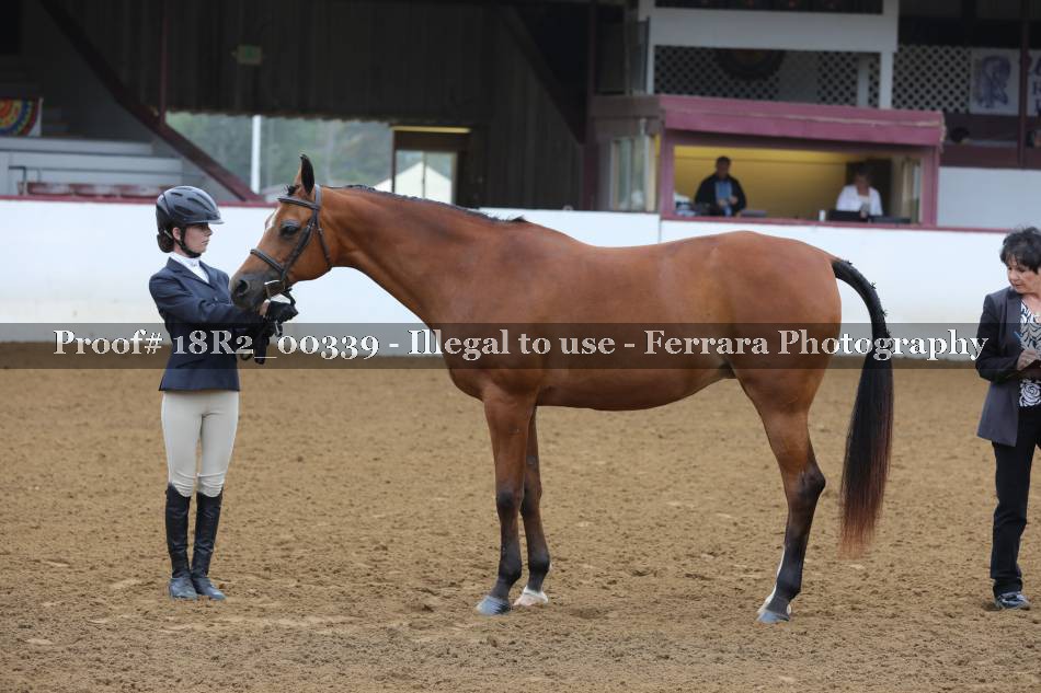 Proof 18R2_00339