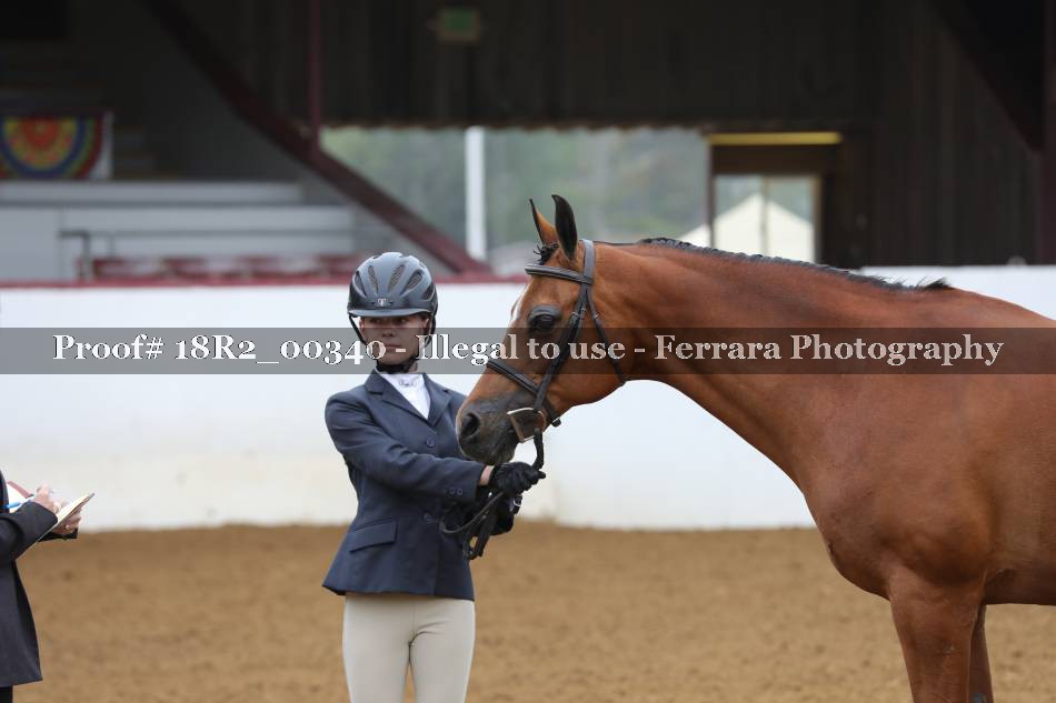 Proof 18R2_00340