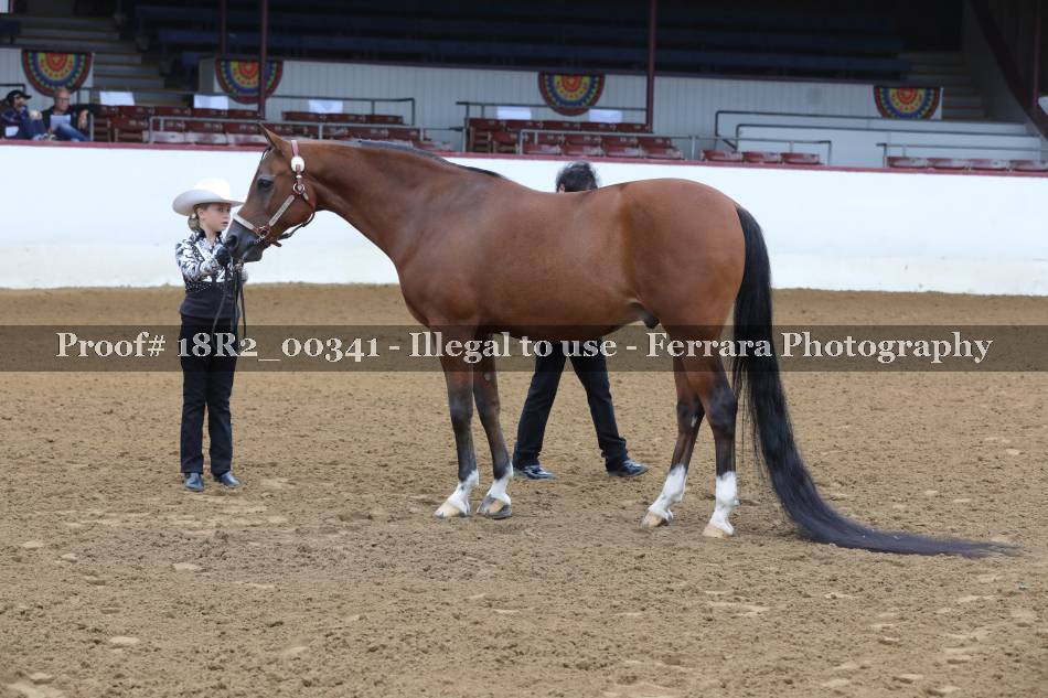 Proof 18R2_00341