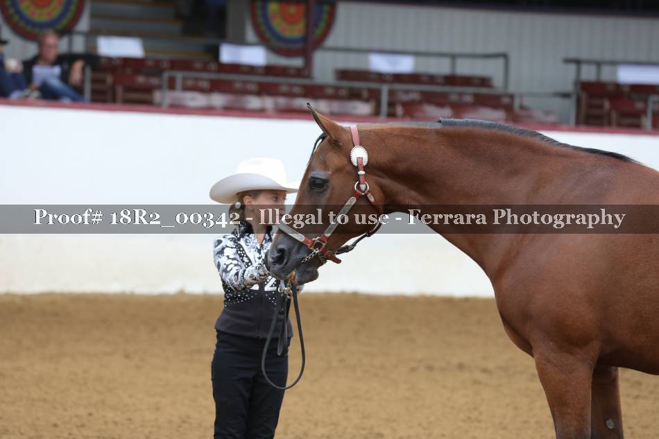 Proof 18R2_00342