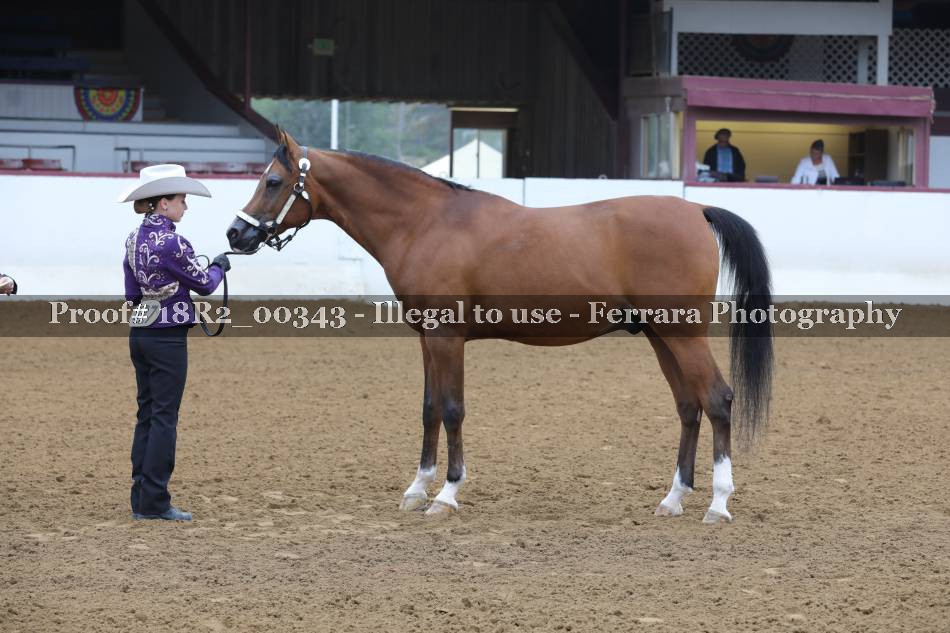 Proof 18R2_00343
