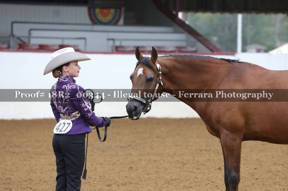 Proof 18R2_00344