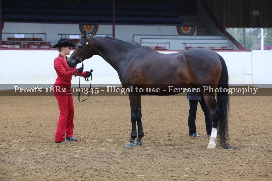 Proof 18R2_00345