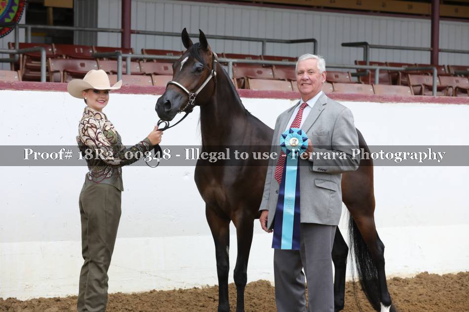 Proof 18R2_00348