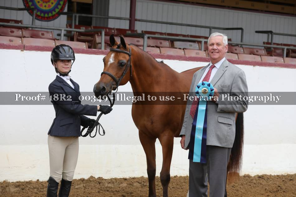 Proof 18R2_00349