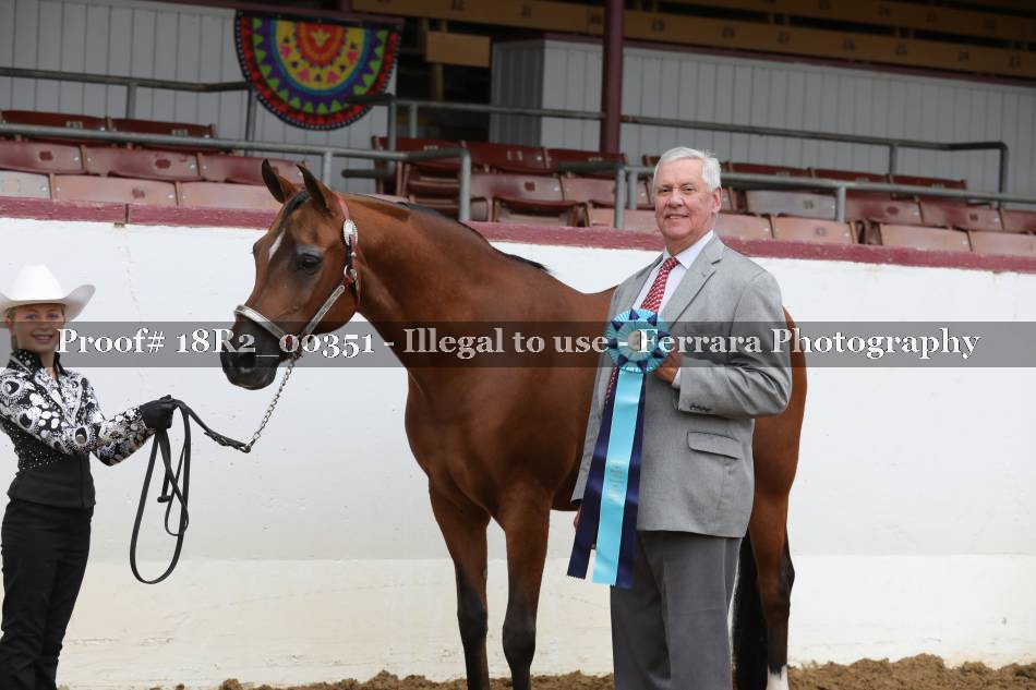 Proof 18R2_00351
