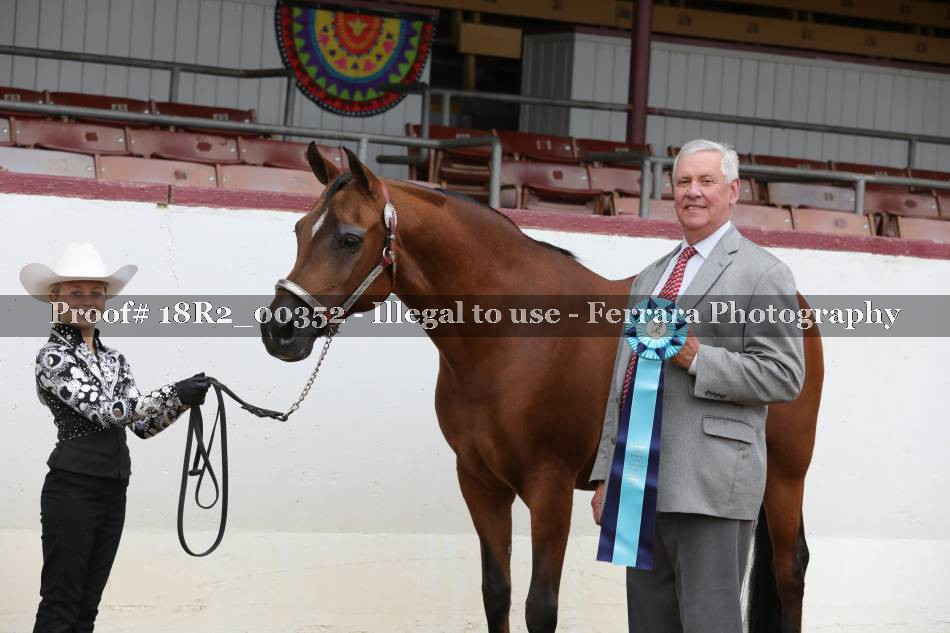 Proof 18R2_00352