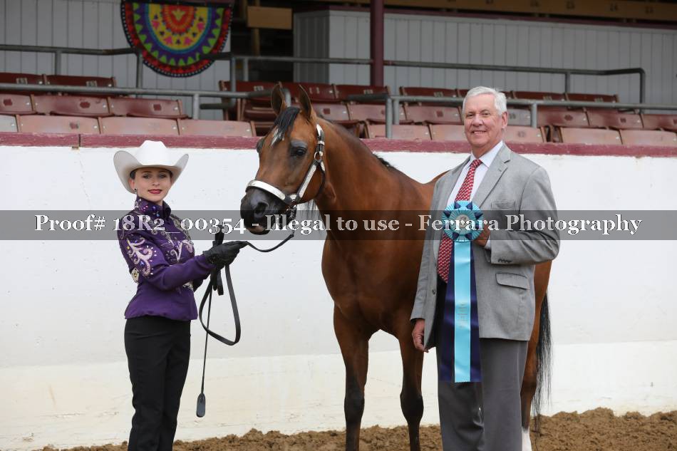 Proof 18R2_00354