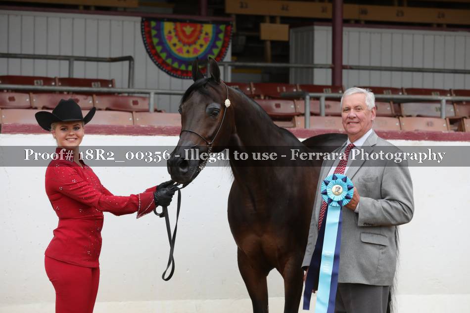 Proof 18R2_00356