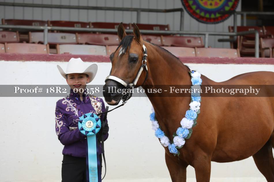 Proof 18R2_00358
