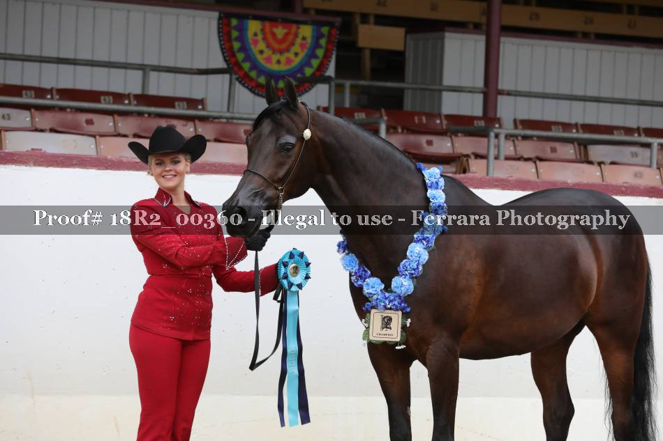 Proof 18R2_00360