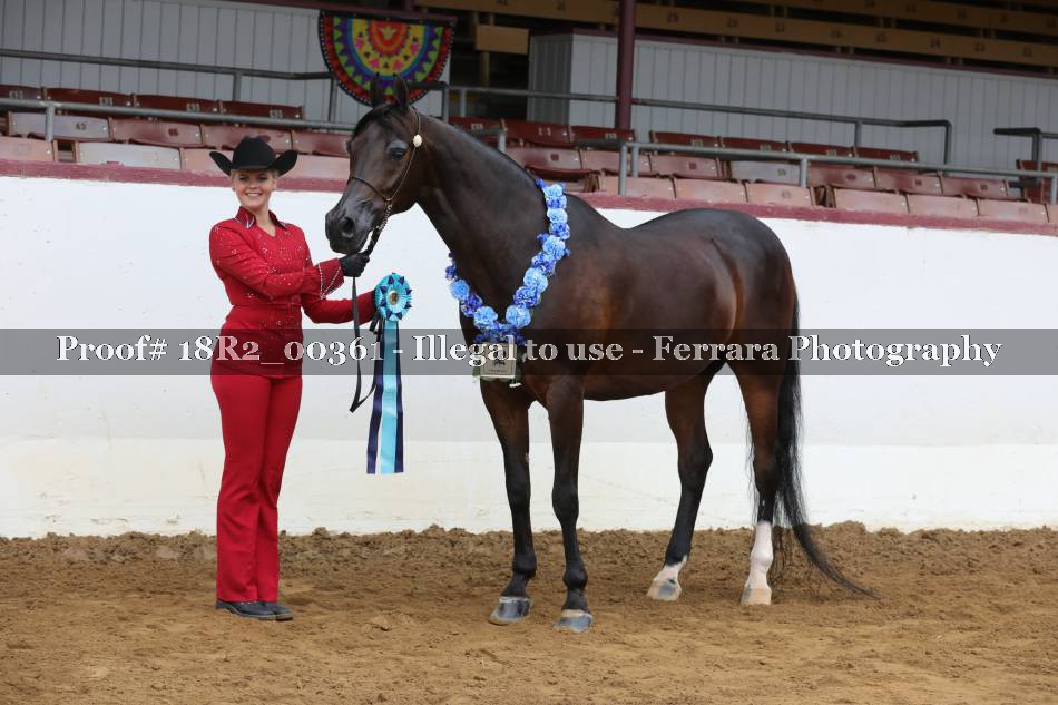 Proof 18R2_00361