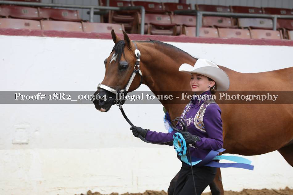 Proof 18R2_00364