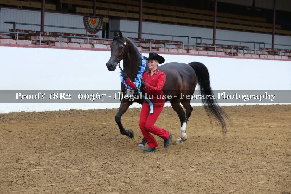 Proof 18R2_00367