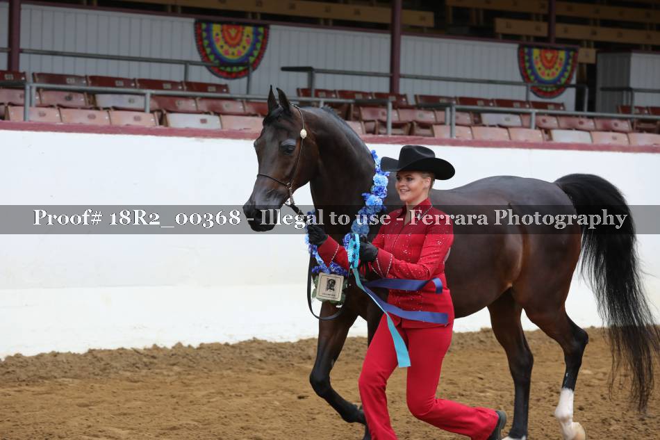 Proof 18R2_00368