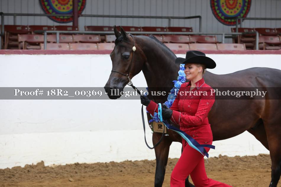 Proof 18R2_00369