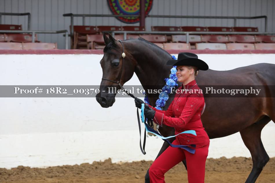 Proof 18R2_00370