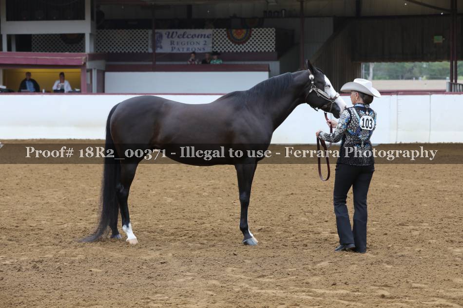 Proof 18R2_00371