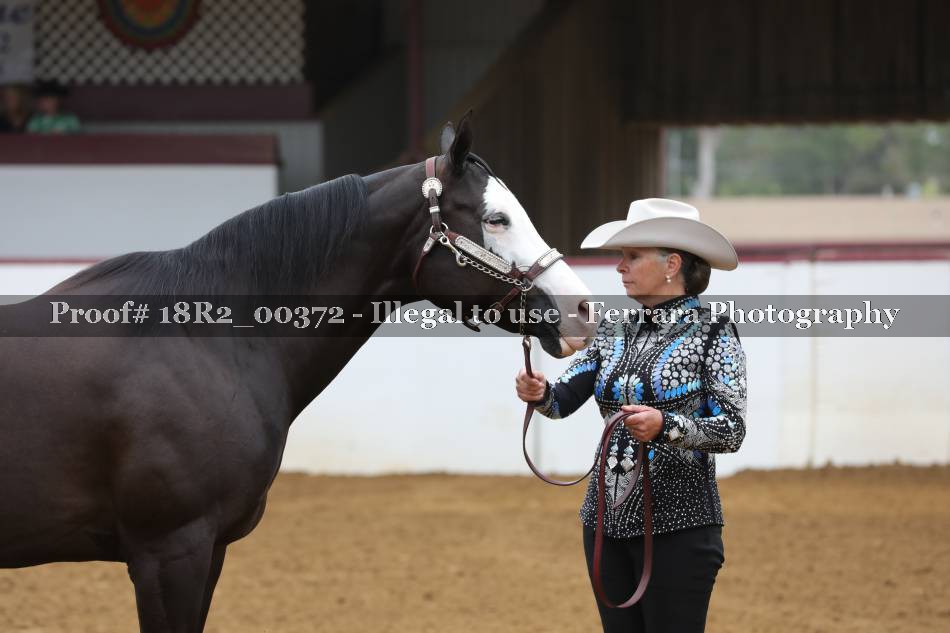 Proof 18R2_00372