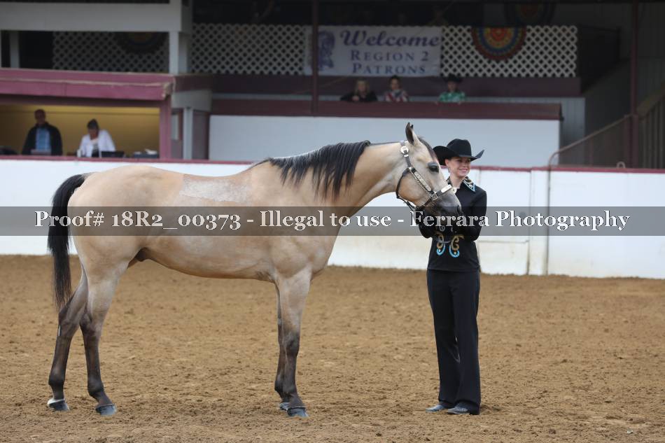 Proof 18R2_00373