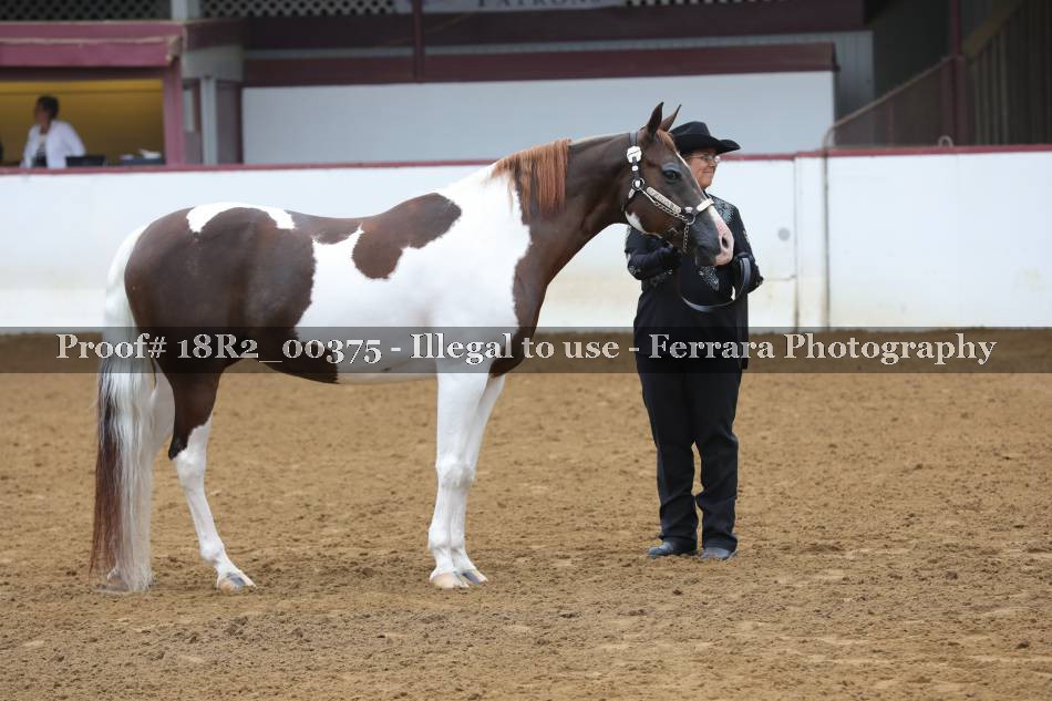 Proof 18R2_00375