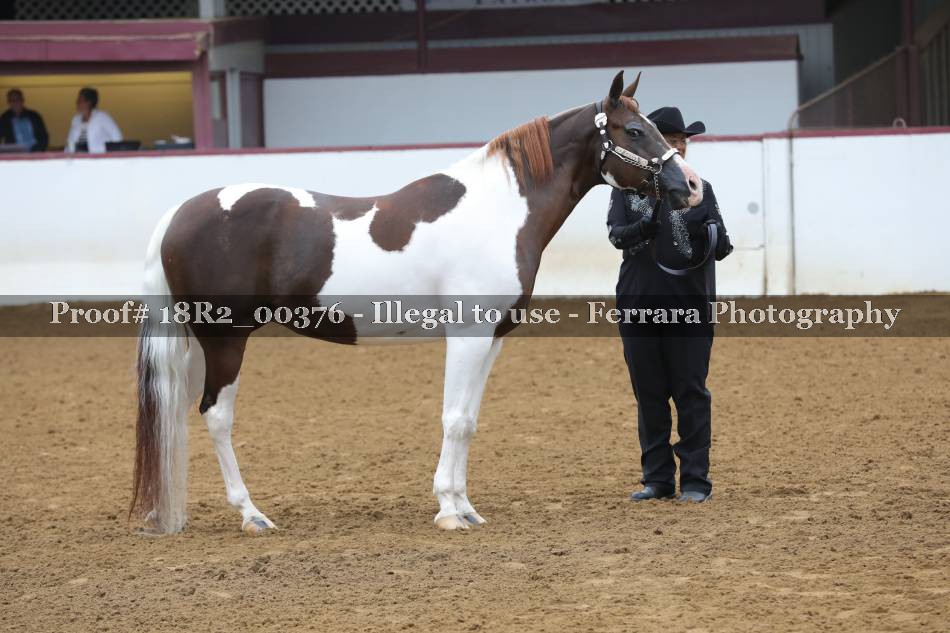 Proof 18R2_00376