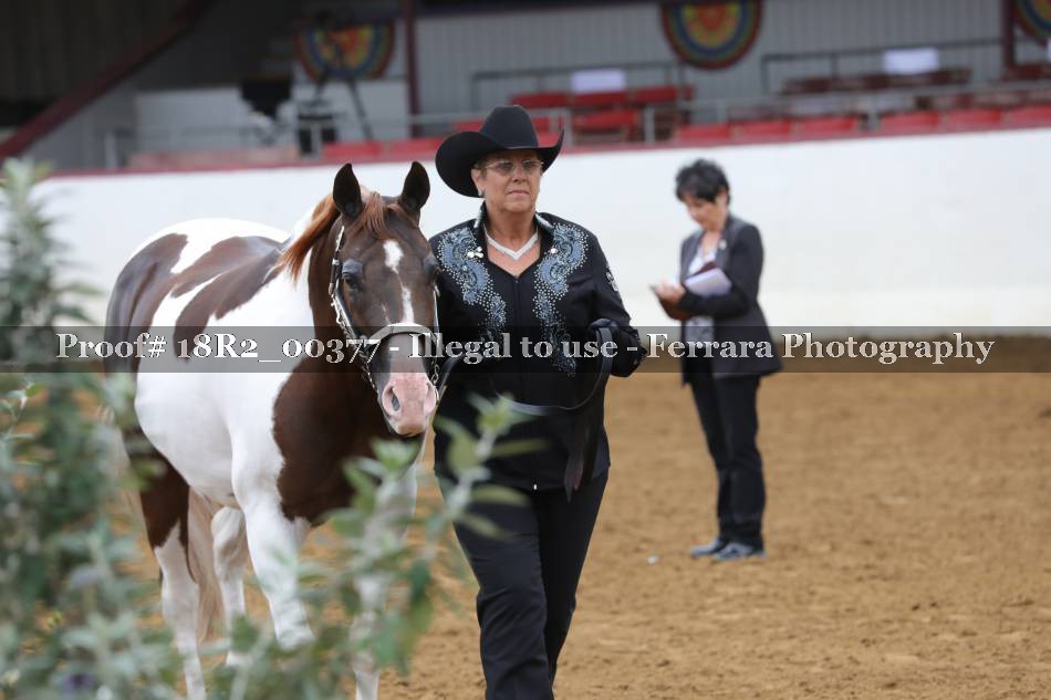 Proof 18R2_00377