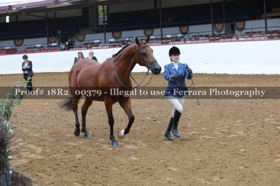 Proof 18R2_00379