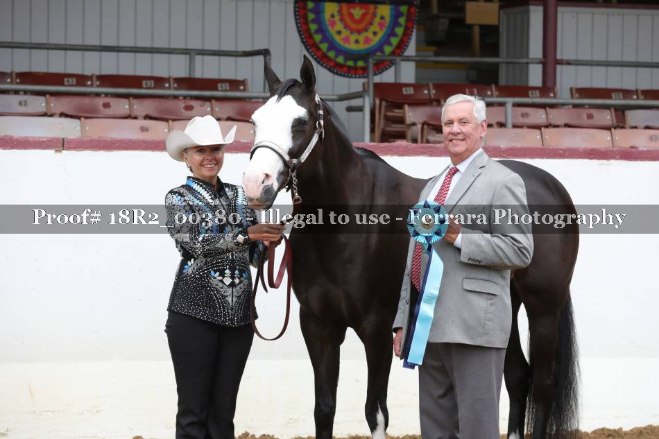 Proof 18R2_00380