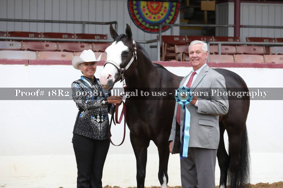 Proof 18R2_00381