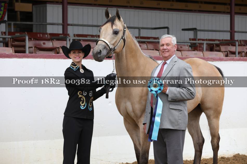 Proof 18R2_00382