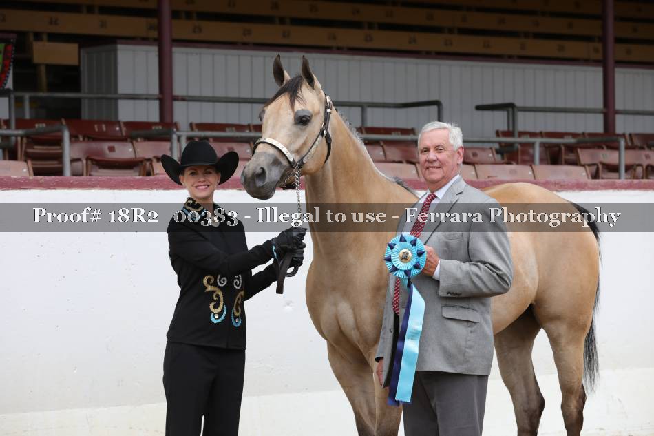 Proof 18R2_00383