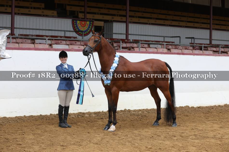 Proof 18R2_00388