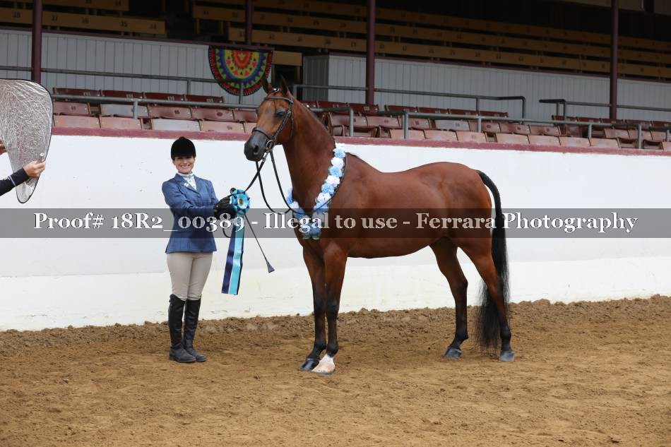 Proof 18R2_00389