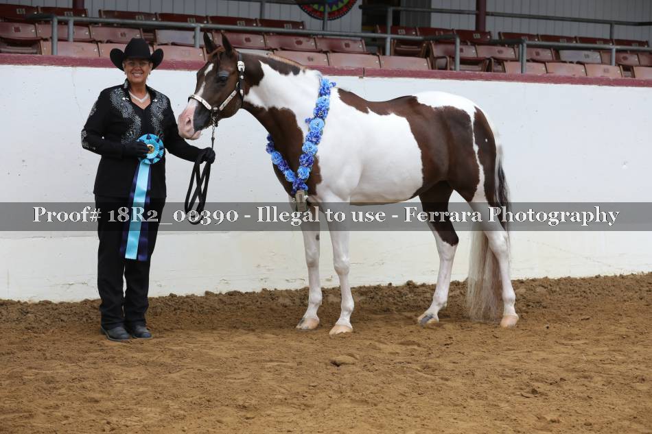 Proof 18R2_00390